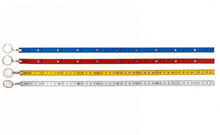 Load image into Gallery viewer, 10X3.5 FOLDING MEASURE KEYRING