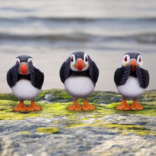 Load image into Gallery viewer, Three Wise Puffins