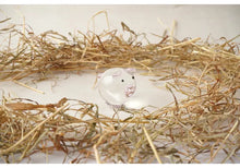 Load image into Gallery viewer, Glass Pig
