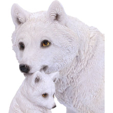 Load image into Gallery viewer, Winter Bond 30cm