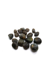 Load image into Gallery viewer, Labradorite