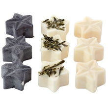 Load image into Gallery viewer, 9 Soya Wax Melts - LP Cats