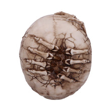 Load image into Gallery viewer, Breaking Out Skull 20cm