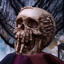 Load image into Gallery viewer, Breaking Out Skull 20cm