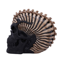 Load image into Gallery viewer, Spine Head Skull 18.5cm
