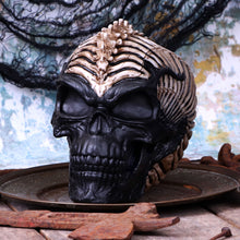 Load image into Gallery viewer, Spine Head Skull 18.5cm