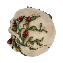 Load image into Gallery viewer, Rose From Beyond 15cm