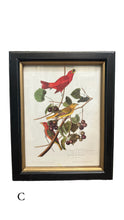 Load image into Gallery viewer, Framed Birds Wall Art
