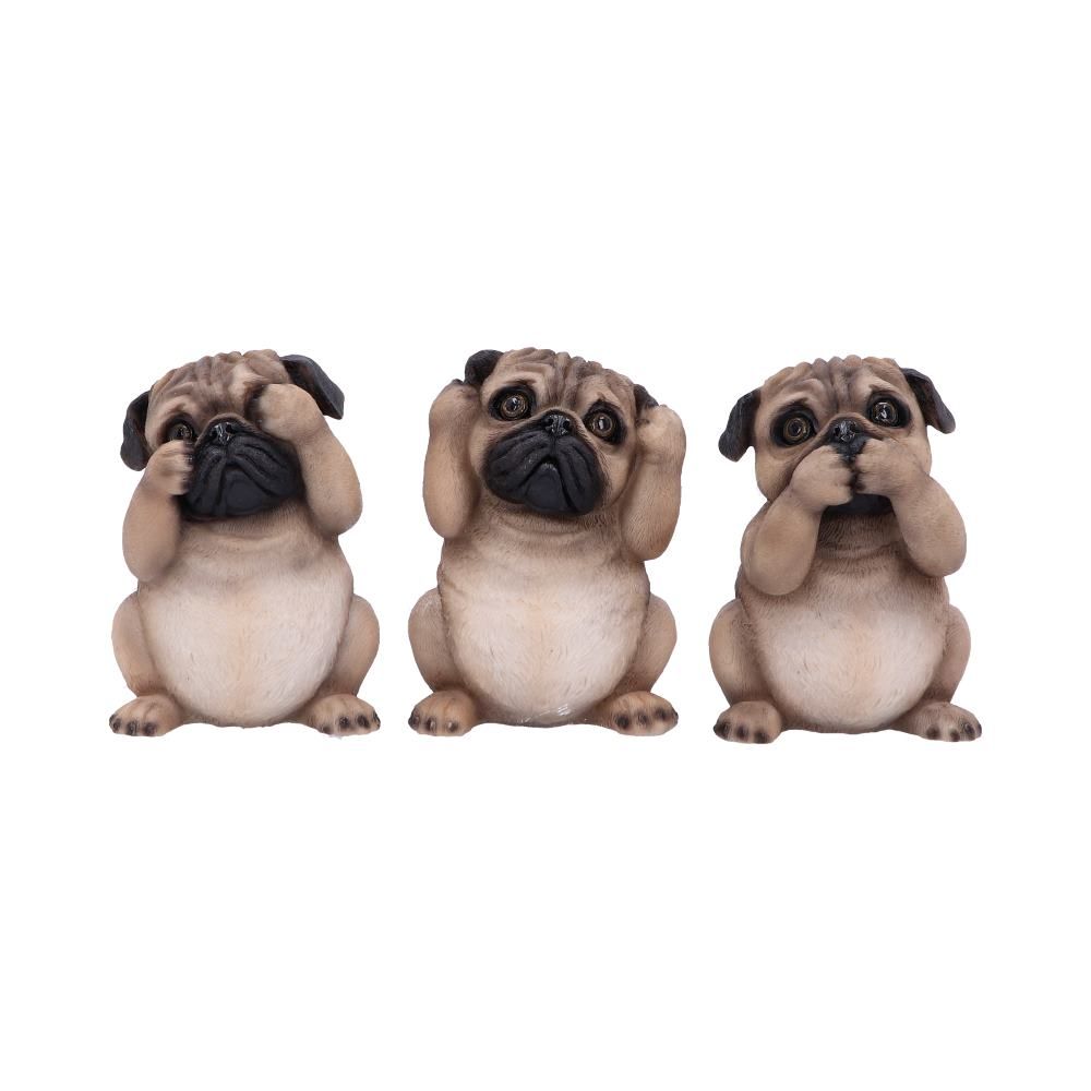 Three Wise Pugs