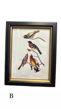 Load image into Gallery viewer, Framed Birds Wall Art
