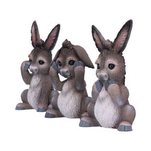 Load image into Gallery viewer, Three Wise Donkeys
