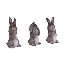 Load image into Gallery viewer, Three Wise Donkeys
