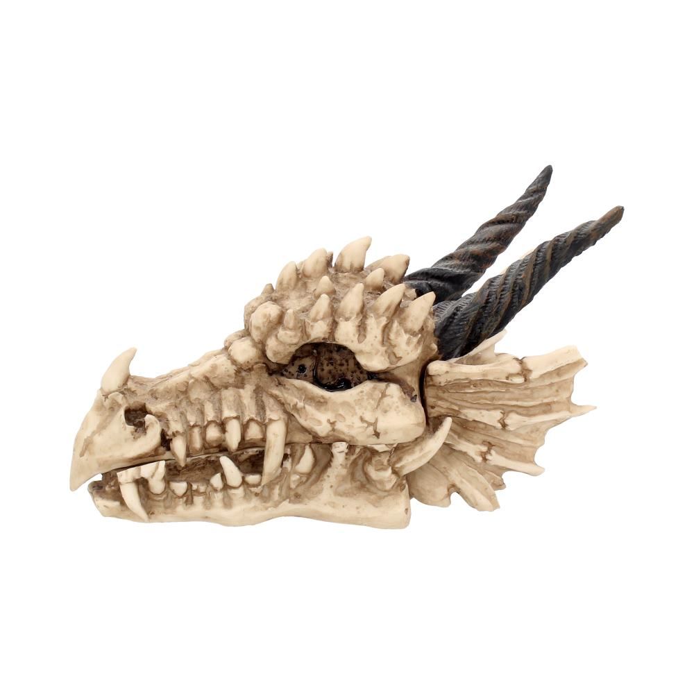 Dragon Skull Box 20cm