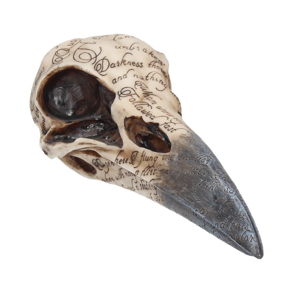 Edgar's Raven Skull