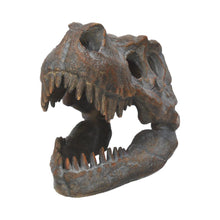 Load image into Gallery viewer, Tyrannosaurus Rex Skull Freestanding 16cm
