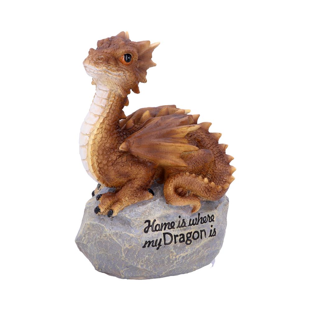 Home Is Where My Dragon Is 19.5cm
